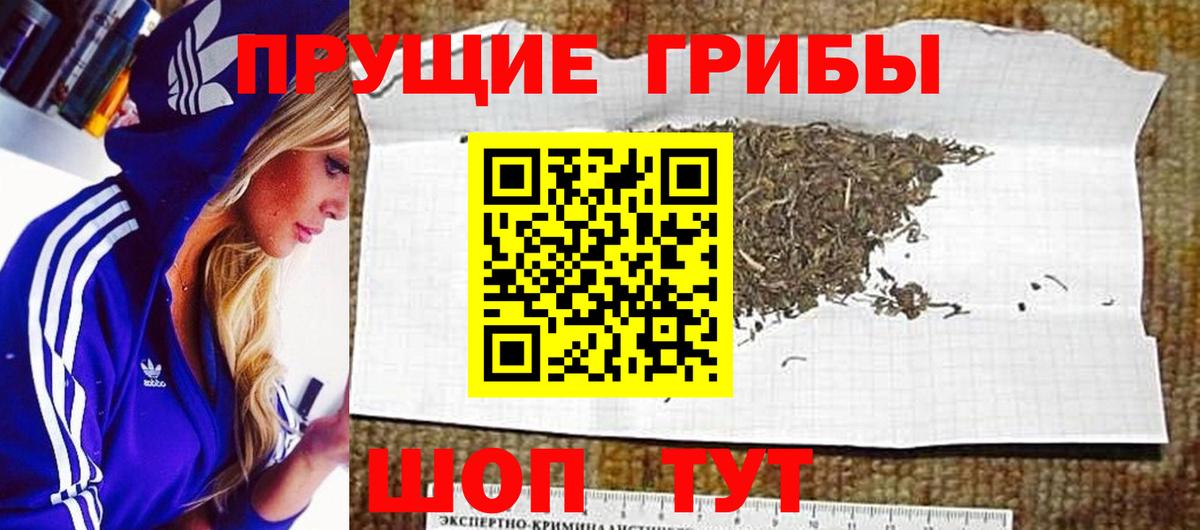Саяногорск  Псилоцибиновые грибы мухоморы  Галлюциногенные грибы Psilocybine cubensis  купить   Вход с VPN 