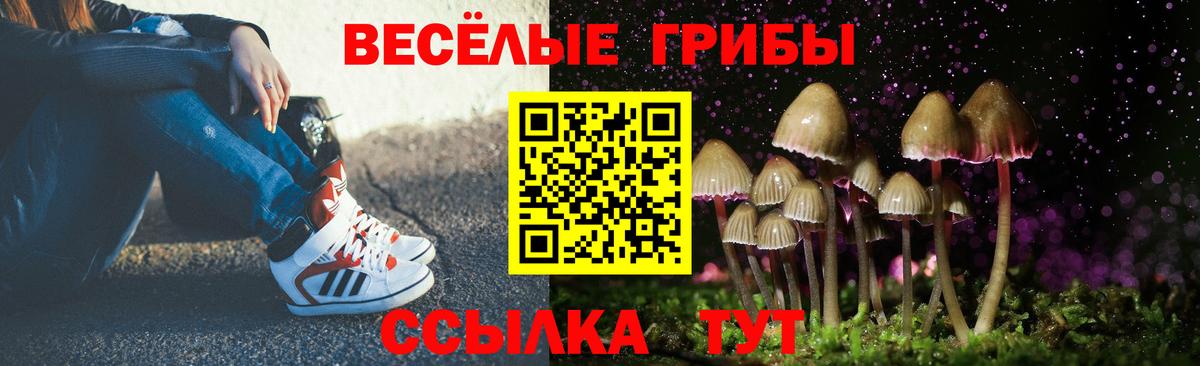 Псилоцибиновые грибы прущие грибы Саяногорск
